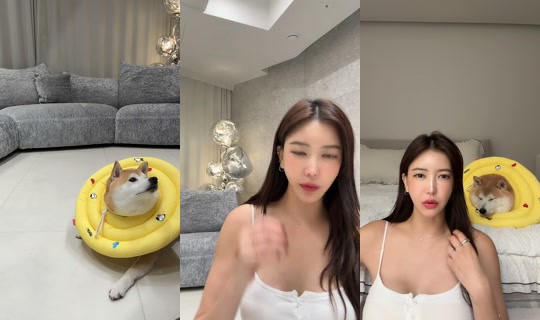 jihojin66's Stream - Oct 7, 2026, 8:13 AM