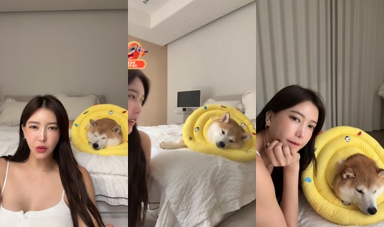 jihojin66's Stream - Oct 7, 2026, 9:04 AM