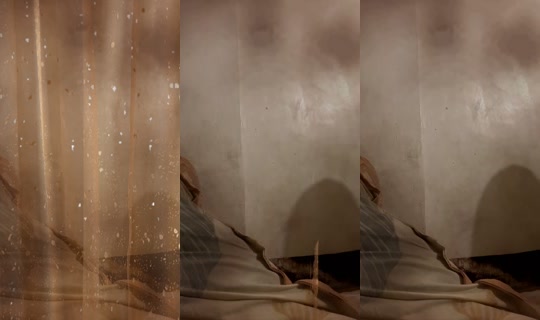jojojo_235's Stream - Jul 14, 2026, 4:40 PM