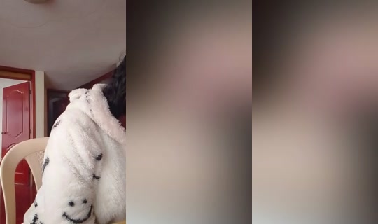 بث julissaymelissa - 13 أغسطس 2026، 8:33 م