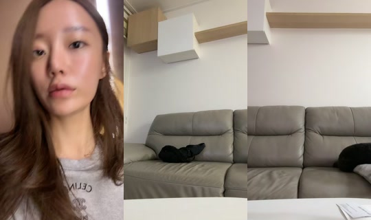 justssbh's Stream - Aug 24, 2026, 12:24 PM