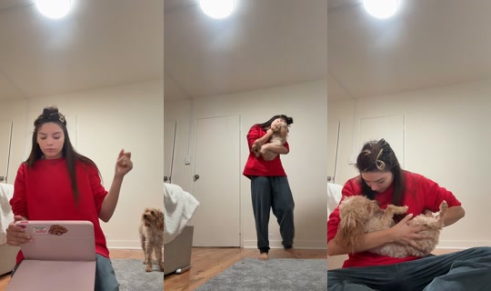 katalinanavigato's Stream - Sep 21, 2026, 3:42 PM