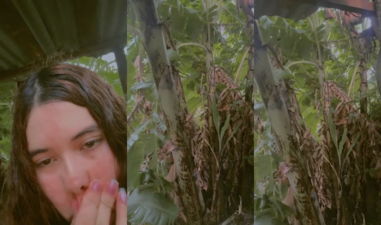 katherine.colindres's Stream - Aug 30, 2026, 11:57 PM