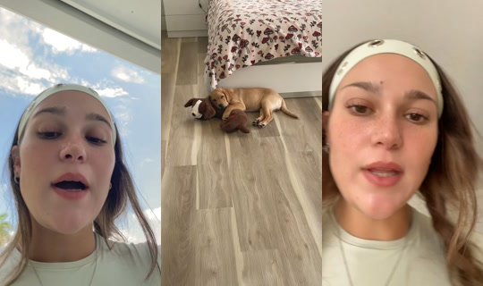 katiebkoolin's Stream - Aug 20, 2026, 3:17 PM
