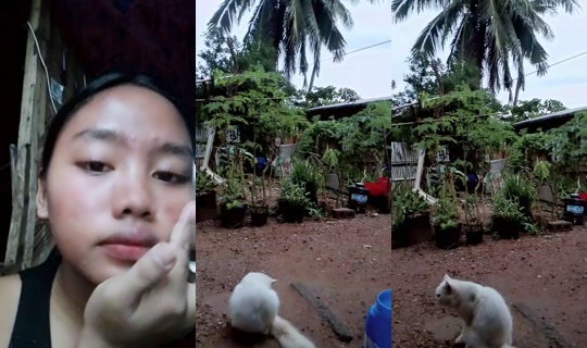 kesyafayefurio3's Stream - Aug 6, 2026, 9:54 AM