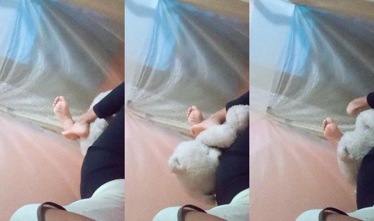 Stream ni key_cii00 - Ago 8, 2026, 11:26 PM