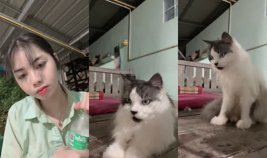 khaw.2112's Stream - Jul 21, 2026, 12:59 PM