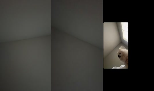 kingdomshearta's Stream - Aug 4, 2026, 9:08 PM