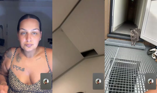 kirren__'s Stream - Jul 12, 2026, 2:27 PM
