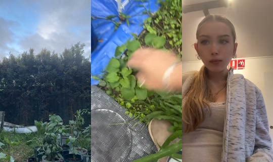 kodaaxo_'s Stream - Oct 8, 2026, 7:14 AM
