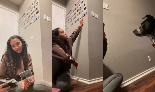 korynacastro's Stream - Jul 12, 2026, 3:55 AM