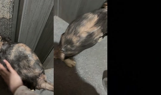 kshmraly's Stream - Jul 31, 2026, 6:24 PM
