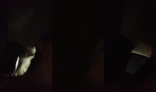 la_tua_principessa5's Stream - Jul 19, 2026, 8:08 PM