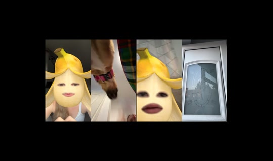 lacey.evans208's Stream - Jul 14, 2026, 7:35 PM