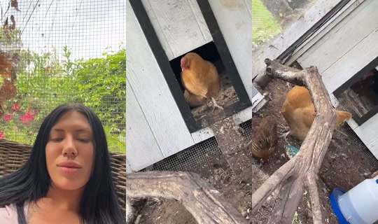 laceyjaynexo's Stream - Jul 13, 2026, 8:01 PM