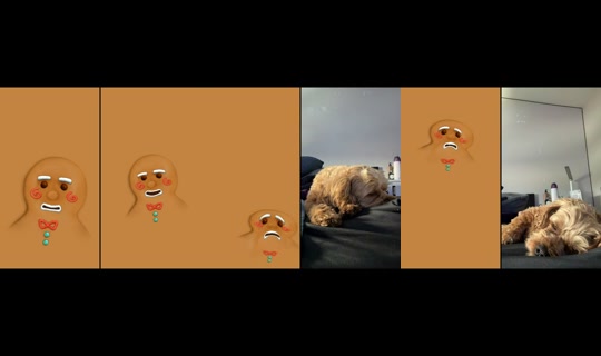 laceymoonl's Stream - Jul 17, 2026, 8:30 PM