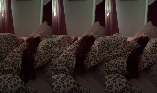 ladieexquisit.2.0's Stream - Sep 23, 2026, 5:22 PM