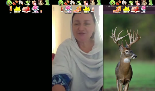 lala.autista's Stream - Jul 24, 2026, 4:04 PM