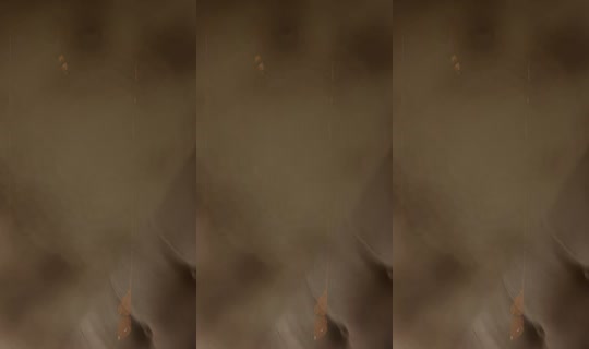 leba321456's Stream - Jul 30, 2026, 6:30 PM
