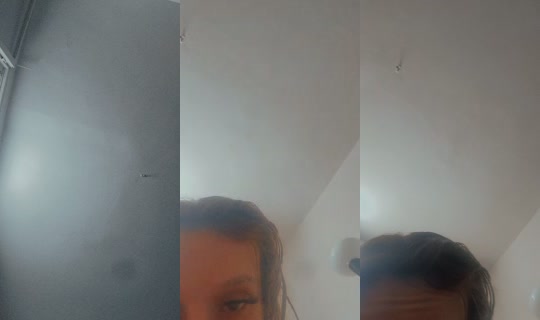بث leen53503 - 15 سبتمبر 2026، 1:44 م