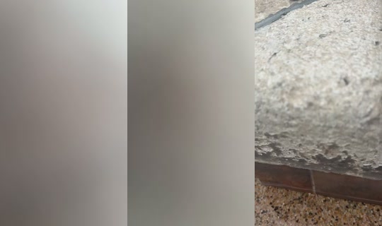 leonelanadall's Stream - Jul 31, 2026, 8:20 PM