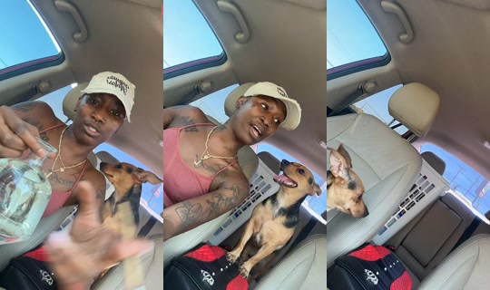 lexyfineassss's Stream - Aug 10, 2026, 5:05 PM