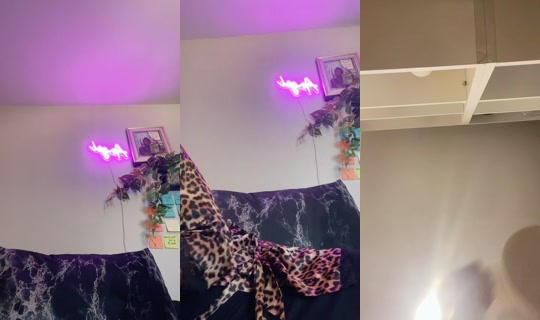 lifeaslala_'s Stream - Jul 28, 2026, 3:17 AM