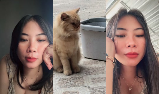 lilinnyakamu's Stream - Aug 4, 2026, 1:50 AM