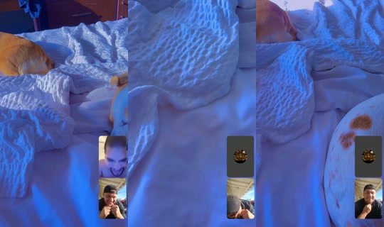 lillove311's Stream - Jul 25, 2026, 2:53 PM