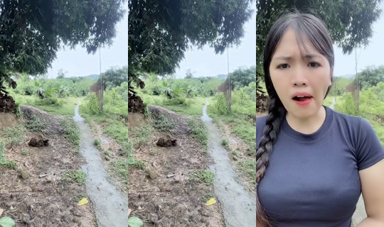 Stream di lindarun13 - 25 lug 2026, 4:19