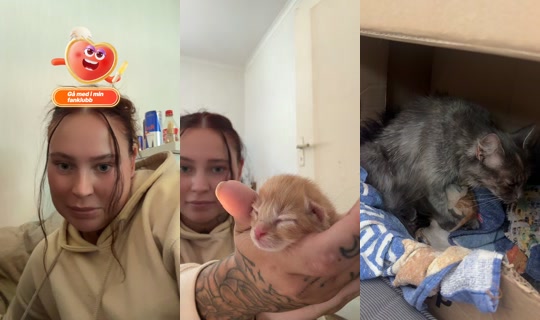 lindasihvolase's Stream - Aug 10, 2026, 10:01 AM
