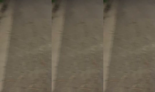 lolipop_0152's Stream - Aug 8, 2026, 4:36 AM