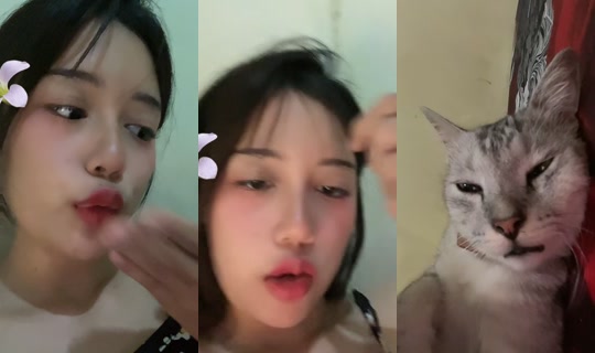 Stream ni losingusm - Ago 22, 2026, 6:26 PM