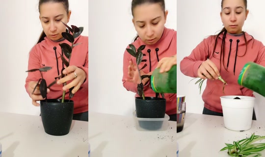lucia.steffazi's Stream - Jul 11, 2026, 5:53 PM