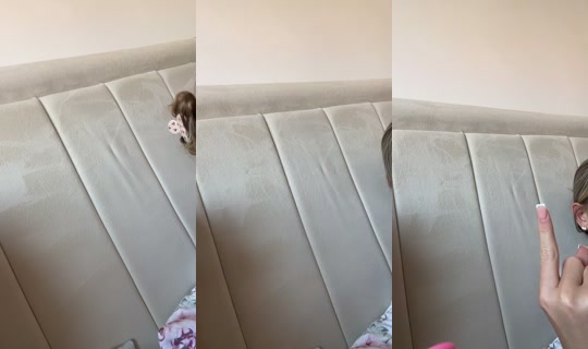 lulurooney1x's Stream - Jul 29, 2026, 5:11 PM
