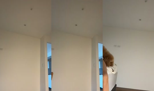 lumiere.erika's Stream - Jul 29, 2026, 12:07 PM