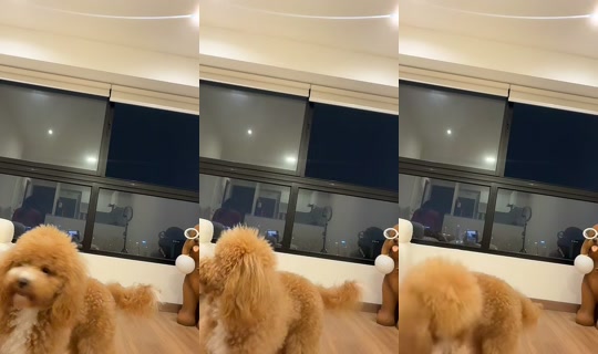 lumiere.erika's Stream - Aug 2, 2026, 11:45 PM