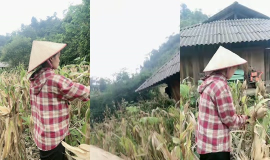 Stream ni lypham6632 - Hul 27, 2026, 6:19 AM