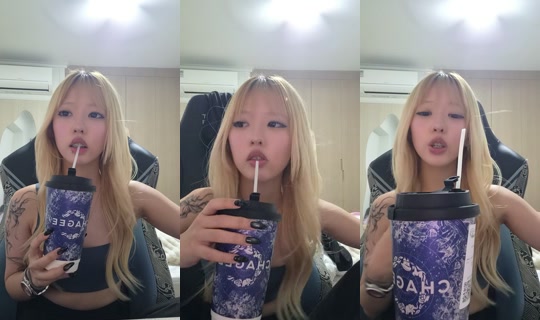 m_vchi's Stream - Sep 11, 2026, 4:55 PM