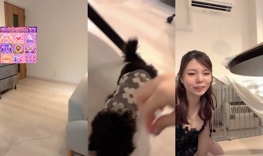 ma_chann24's Stream - Aug 24, 2026, 11:28 AM