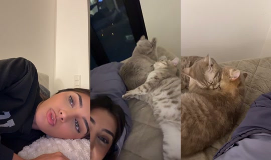 madina_kazem's Stream - Jul 26, 2026, 3:14 AM