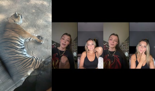 madscarter's Stream - Aug 2, 2026, 2:19 AM