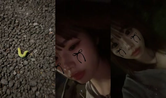 maguroyukke._10's Stream - Oct 19, 2026, 12:22 PM