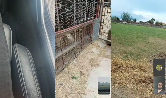 mama_chenar0 的直播 - 2026年9月20日 12:42