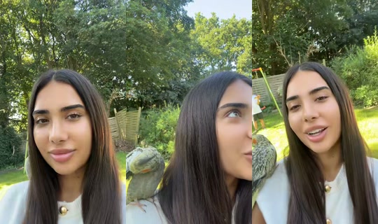 mandana.ms's Stream - Jul 14, 2026, 3:03 PM