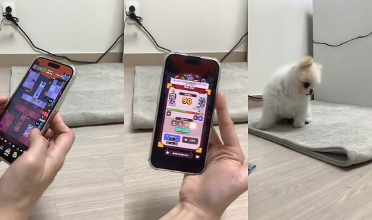 mango_noona2's Stream - Jul 31, 2026, 4:41 AM
