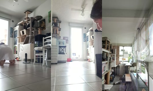 maria.la.portugai's Stream - Jul 31, 2026, 7:32 AM