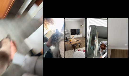 marialieb's Stream - Jul 23, 2026, 10:43 AM