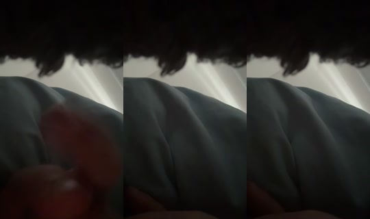 Stream de marine_bio.notes.1x – 8 août 2026, 10:01