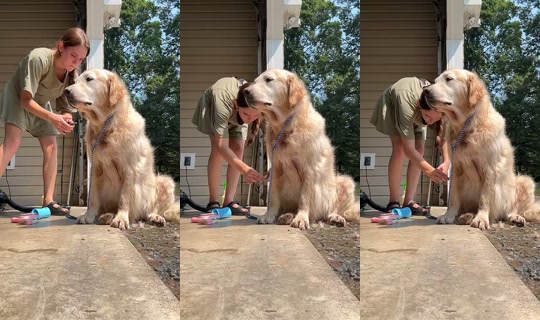 maryparks50's Stream - Jul 29, 2026, 7:17 PM